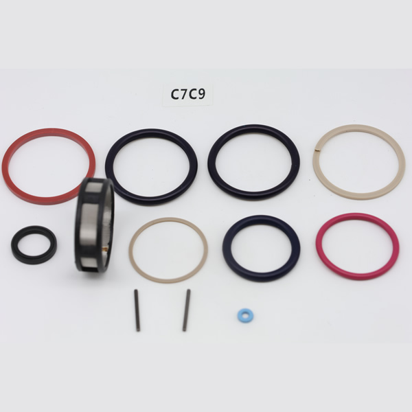 Diesel Fuel Injection Repair Kit for C7/C9 Pump Factory price
